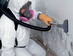 Best Mold Damage Restoration  in University Gardens, NY